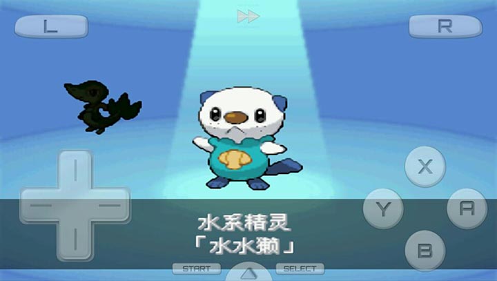 口袋妖怪黑2(通关精灵)