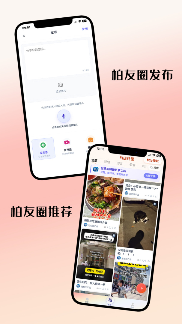 逛柏庄