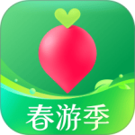 叮咚买菜极速版