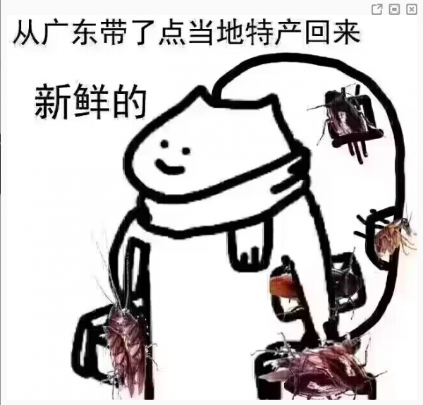 拿着拿着蟑螂表情包一览