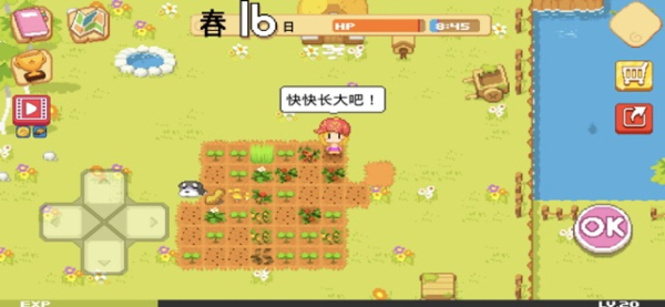 公主的农场故事中文版