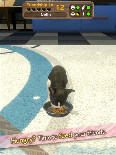 和我的狗在一起