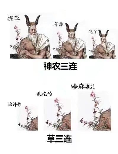 中医学生必备的搞笑微信表情包