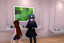 《塞蕾卡为了不被发现》全流程通关攻略分享