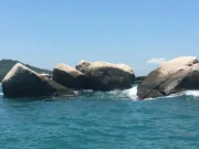 海角最新回家方式手机软件