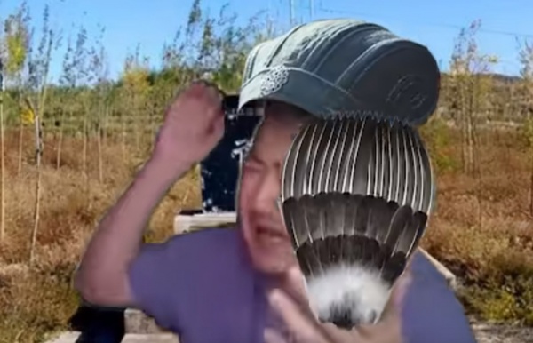 茄子老马啊表情包一览