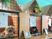 宠物寄养手机软件