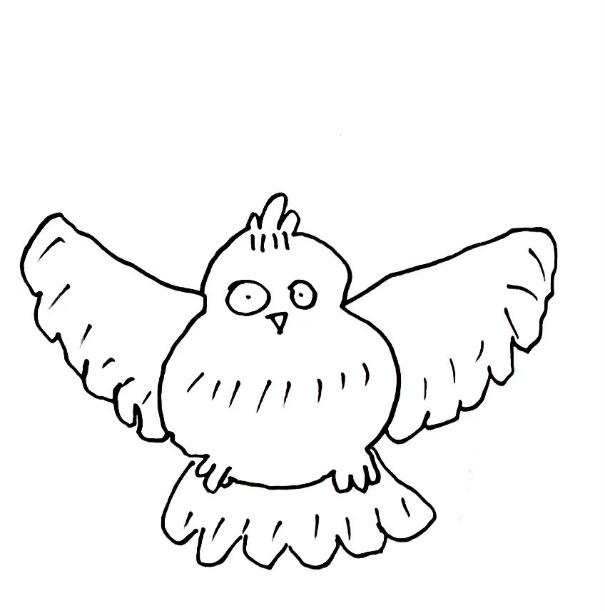 手绘猫头鹰可爱微信头像