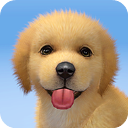 梦幻小狗无限钻石版