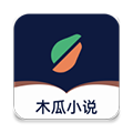 木瓜小说