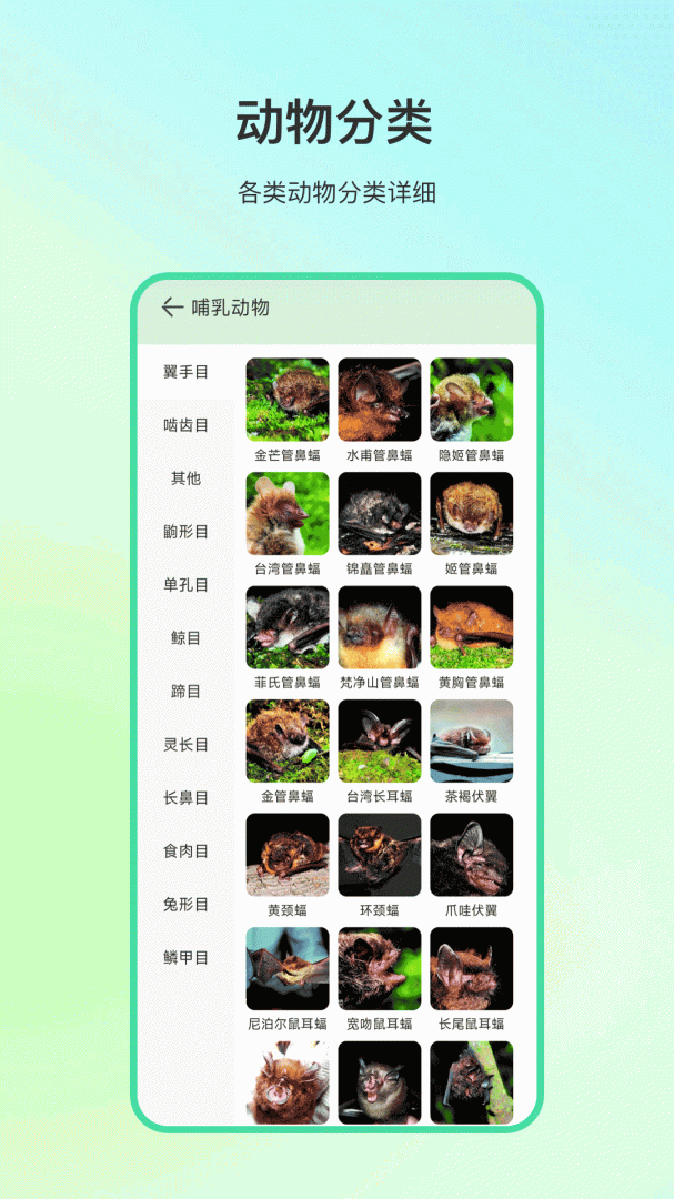 动物百科