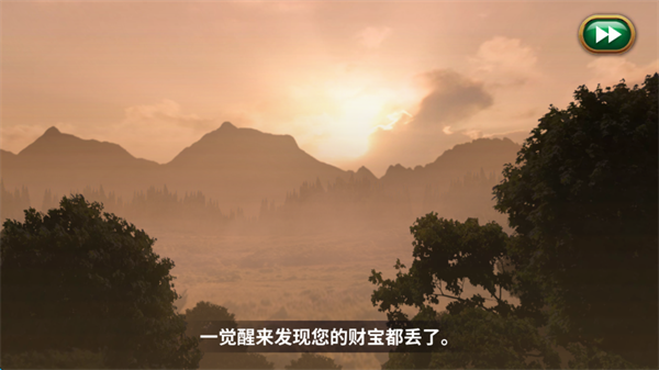 里奥的财富外文版