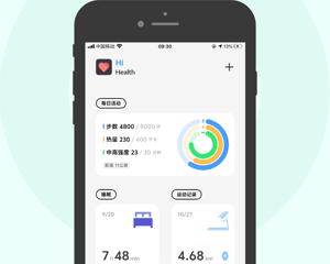 无需付费的健身运动