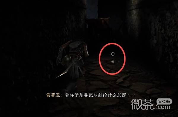 共鸣瘟疫传说传承遗物全收集攻略 共鸣瘟疫传说传承遗物位置在哪