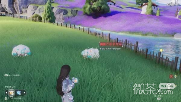 伊莫捕获率提升攻略 伊莫捕获率怎么提升
