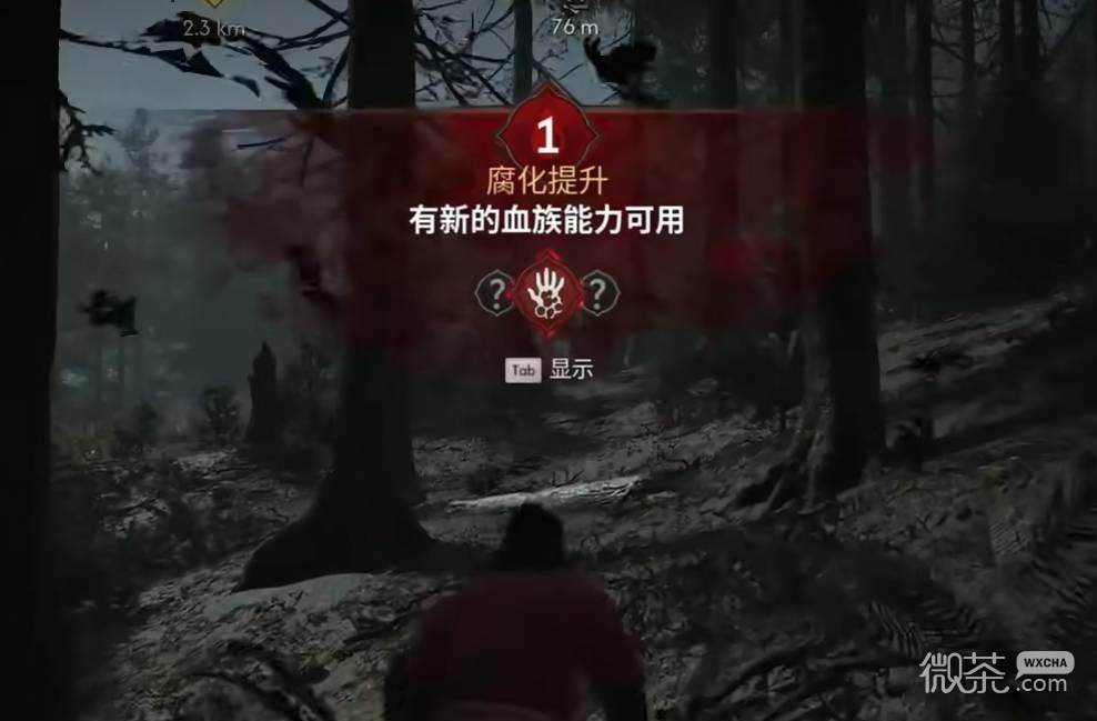 黎明行者之血前期加点攻略 黎明行者之血前期技能怎么加