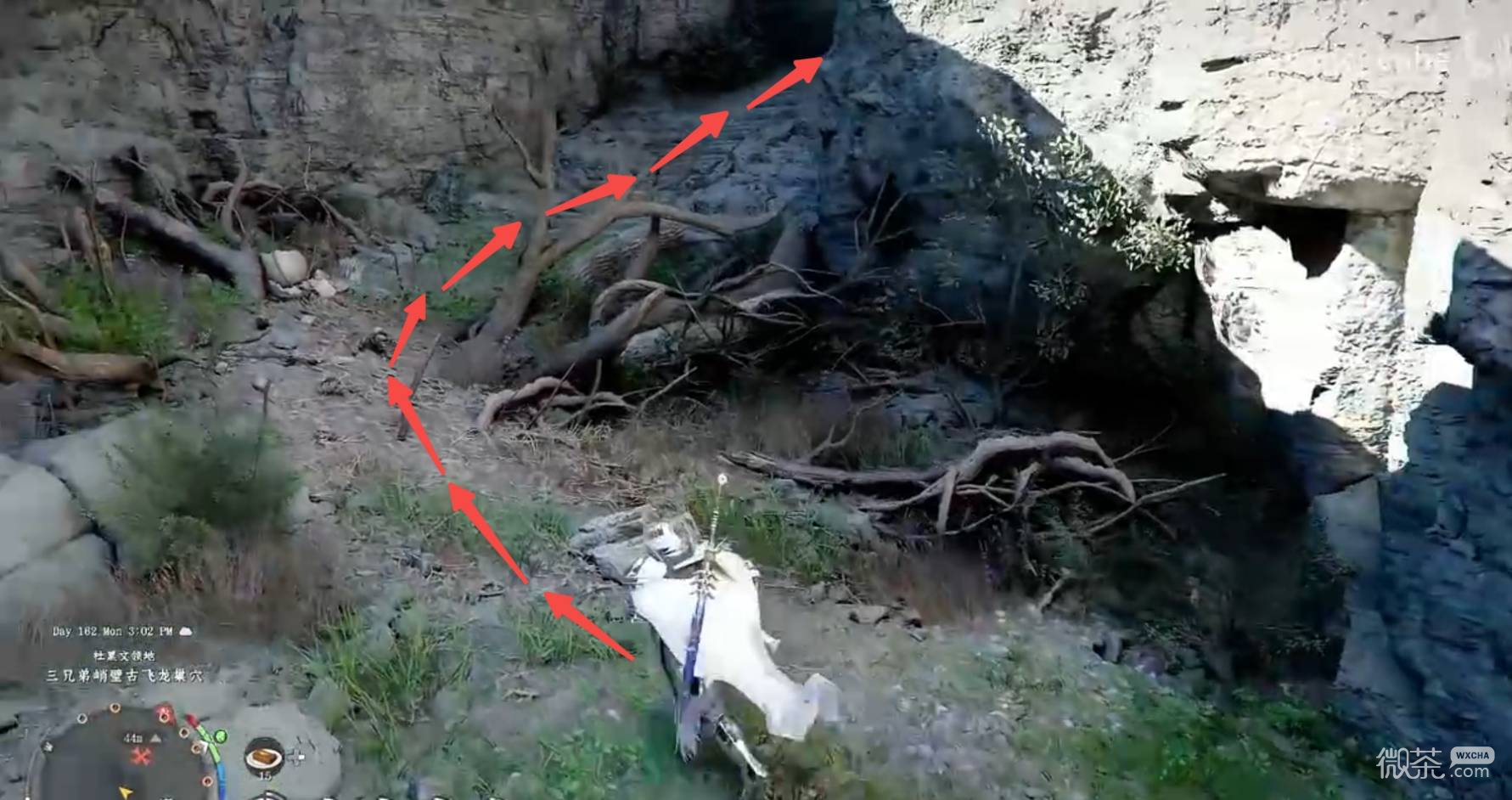红色沙漠增强版宠物小飞龙获取攻略 红色沙漠增强版宠物小飞龙怎么获得