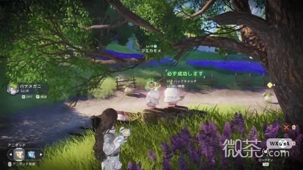 伊莫捕获率提升攻略 伊莫捕获率怎么提升