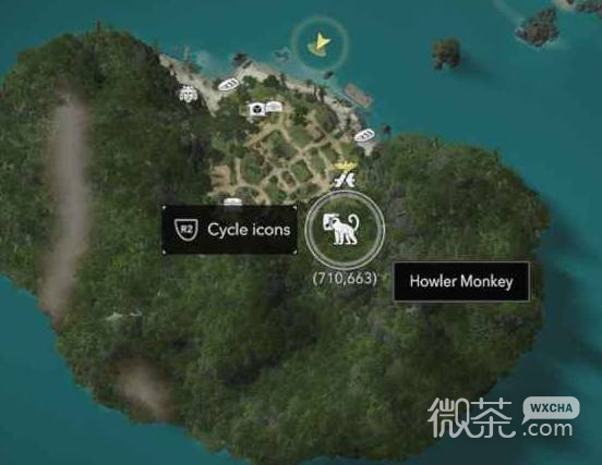 刺客信条4黑旗记忆重置猫岛全收集攻略分享