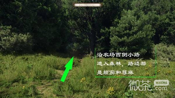 天国拯救2毒弓流速成攻略 天国拯救2毒弓流怎么快速成型