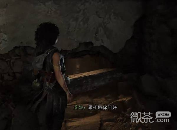 共鸣瘟疫传说传承遗物全收集攻略 共鸣瘟疫传说传承遗物位置在哪