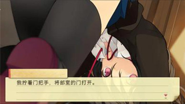 恋爱与选举与巧克力cg存档版