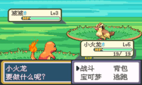 口袋妖怪：混沌大乱斗金手指版