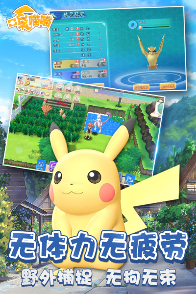 口袋喵喵九游版