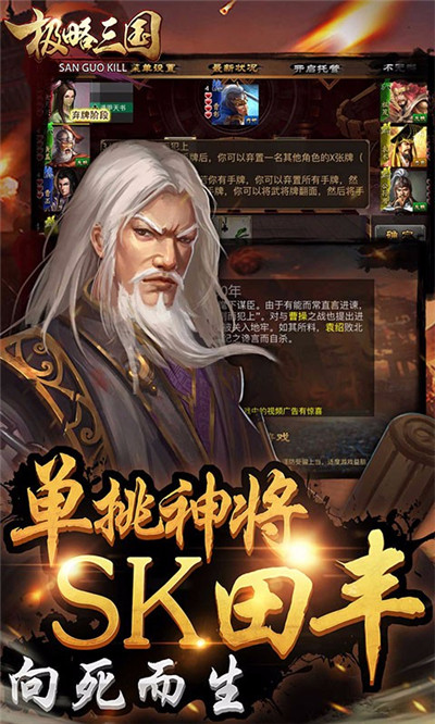 极略三国美化版