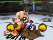 可以联机的格斗手游