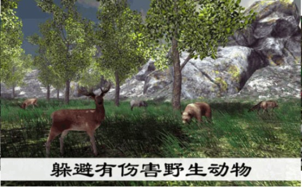 真实采集蘑菇模拟器