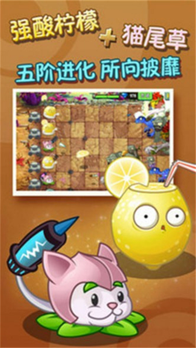 植物大战木乃伊