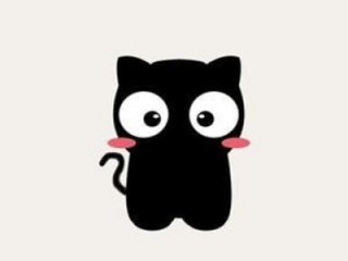 猫咪段子破解版