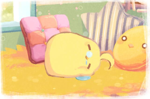 呆毛鸡育成日记