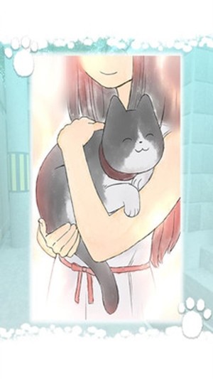 迷路的猫咪的故事