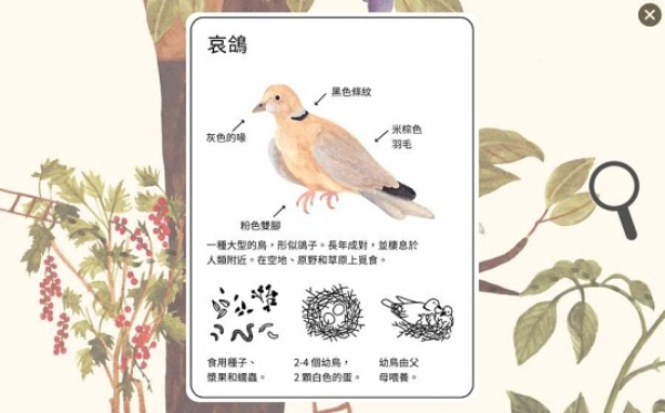 小棕鼠的自然生态百科(Little Mouses Encyclopedia)
