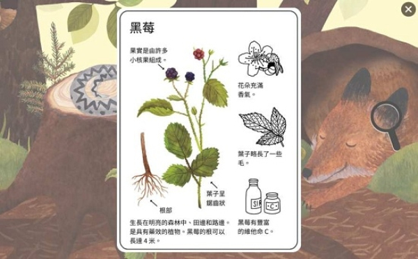 小棕鼠的自然生态百科(Little Mouses Encyclopedia)