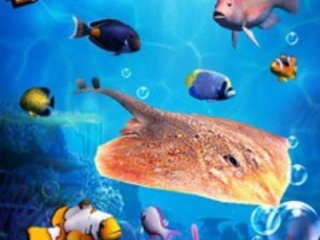 疯狂钓鱼超全版本