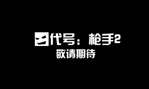 代号：枪手2